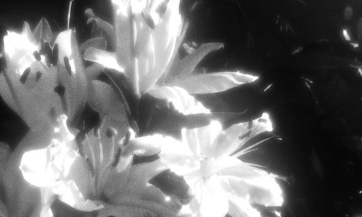 love you 'til the worlds end ☆